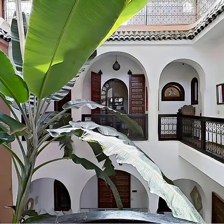 Riad El Grably-3